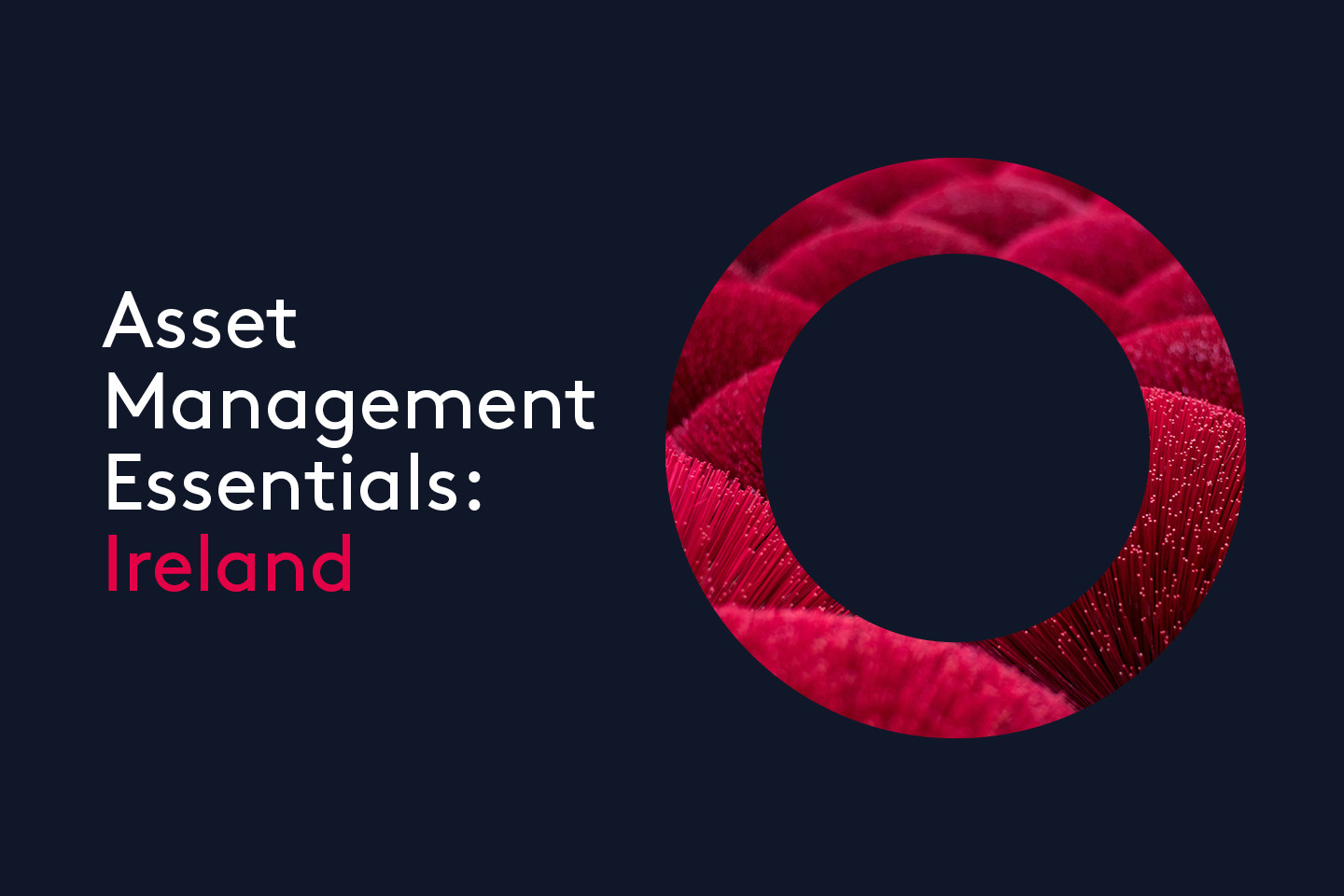 Ogier Precision in Funds branding for Asset Management Essentials: Ireland newsletter