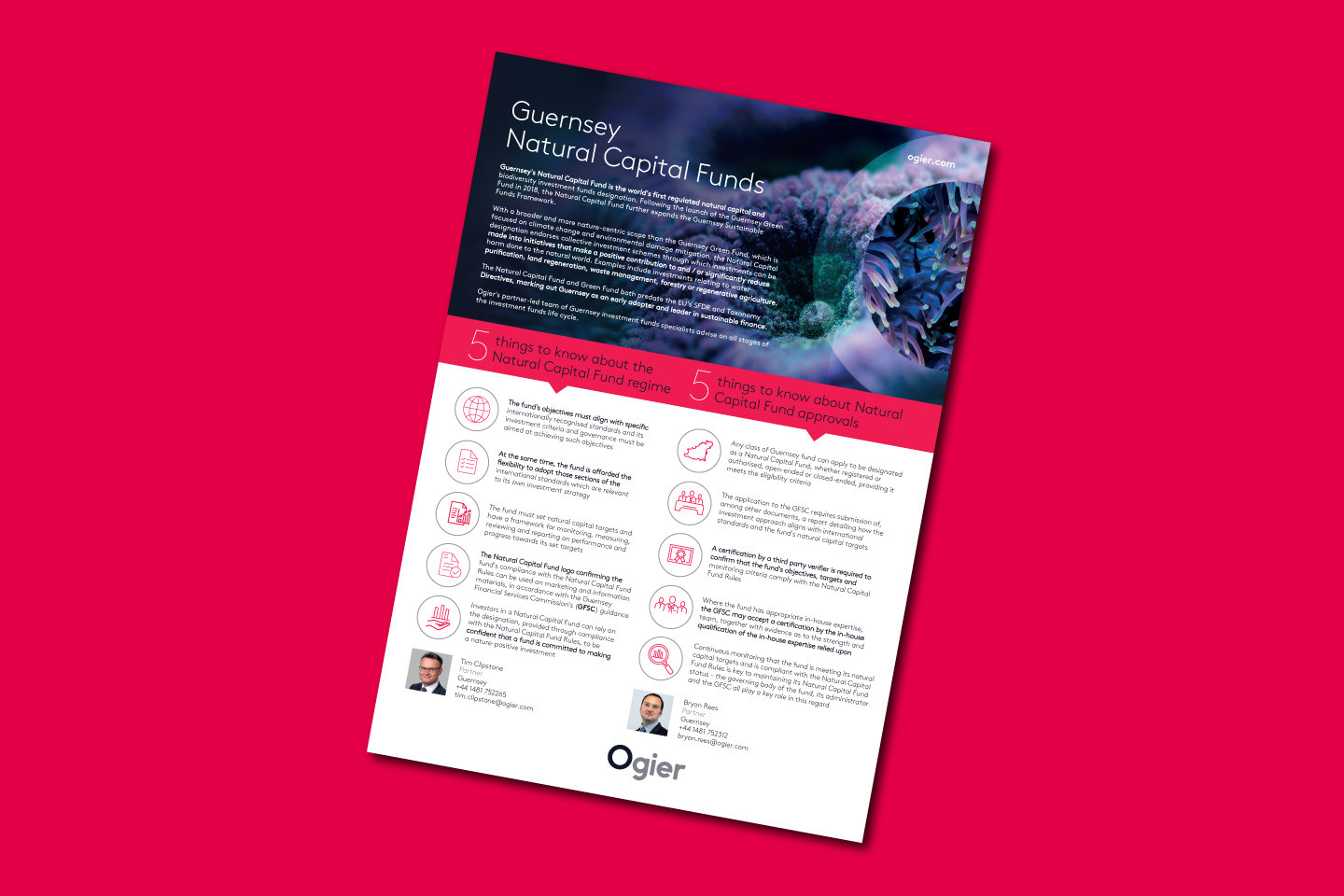 Infographic presents five key facts about Guernsey Natural Capital Funds, with abstract coral reef photograph, illustrated service points and team contacts